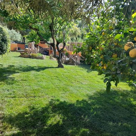 B&B Da Sabrina Сан-Теодоро Екстер'єр фото